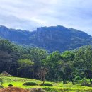 시평마을회관 | 전남화순 용암산 산행후기 ( 남구푸른산악회 )