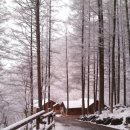 가리산길 이미지