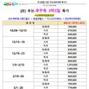 부산항공여행사