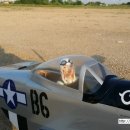 킨텍스, 한류월드 이미지