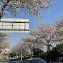 서호동-27 이미지