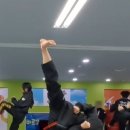 최강하늘태권도 이미지