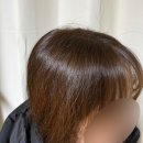 동탄솔빛로 | 동탄 미용실 반송동 준오헤어 뿌리염색 커트 후기