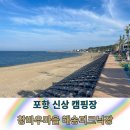 해송피크닉장 | 신상 캠핑장 바닷가 바로 앞! 포항 신창간이해변 창바우마을 해송피크닉장 방문후기(feat. 사이트 추천)