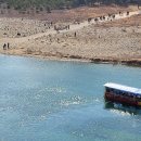 영월청령포 이미지