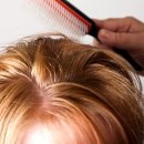 흰머리 뽑으면 2가닥 난다는데 진짜일까? 이미지