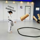 푸른합기도 이미지