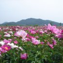 겨를