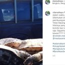 거북발전소 이미지