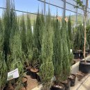 대림가든 이미지