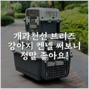 브리즈동물병원 | 개과천선 브리즈 강아지 켄넬 써보니 정말 좋아요!