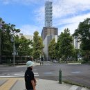 (주)비에이코리아 | 초등3학년 남자아이, 샷포로 4일차 비에이투어 1편