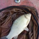 초정낚시터 이미지