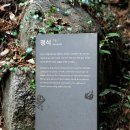 만덕경로당 | 백련사~다산초당길