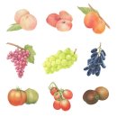 기초 보태니컬아트 기법 이미지