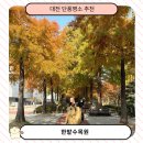 서원유치원 | 대전 가볼만한곳 단풍명소 한밭수목원 가을 단풍 절정(입장료,주차정보)