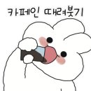 카페;금암