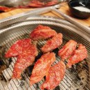 오늘은소갈비살2