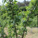 재한농장 이미지