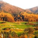 웰리힐리 컨트리클럽 이미지