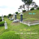 산소 묘지 벌초대행 전국 477곳 모음