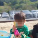 숲속늘푸른어린이집 이미지