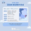 260627 뮤지컬 빨래 부산 공연 관극후기ㅣ소향씨어터 B열 시야 및 자리 추천