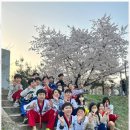 XPL 태권도 | 안양호성초태권도 아이들의 건강한 성장을 위한 완벽한 선택, 경희대XPL태권도 후기
