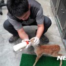 울산광역시야생동물구조관리센터 이미지