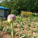 소집농장 이미지