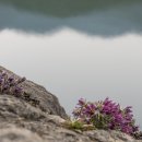 문산1리 이미지