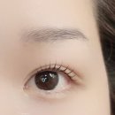 댕댕 shop(샵) | [속눈썹펌 추천] 송절동 트리브 속눈썹펌 후기, 전후 비교 확실한 청주 속눈썹샵
