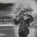 박길수 카카오 검색결과