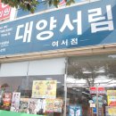 대양서림