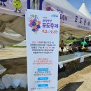 서신제일카센타 | 2023년 송산포도축제 후기