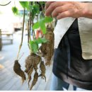 그곳에 맛집 이미지