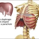 신월동004 이미지