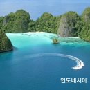 왕 행정사 이미지