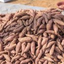 웅이네 농장 이미지