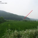 신서면-1 이미지