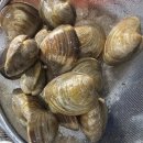 농수산물도매시장 이미지