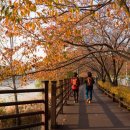 수원팔색길 지게길 이미지