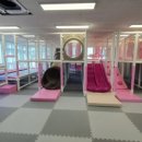 카페우리 이미지