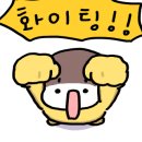 생활건강 테이핑+마사지 네이버블로그