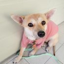 포스코대로 이미지