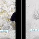 GOLDEN FLAVOR 이미지