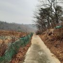 시례농장 이미지