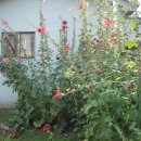 남계2리 이미지