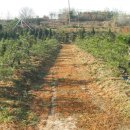 운곡농장 이미지