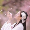 이안미디어 Daum카페